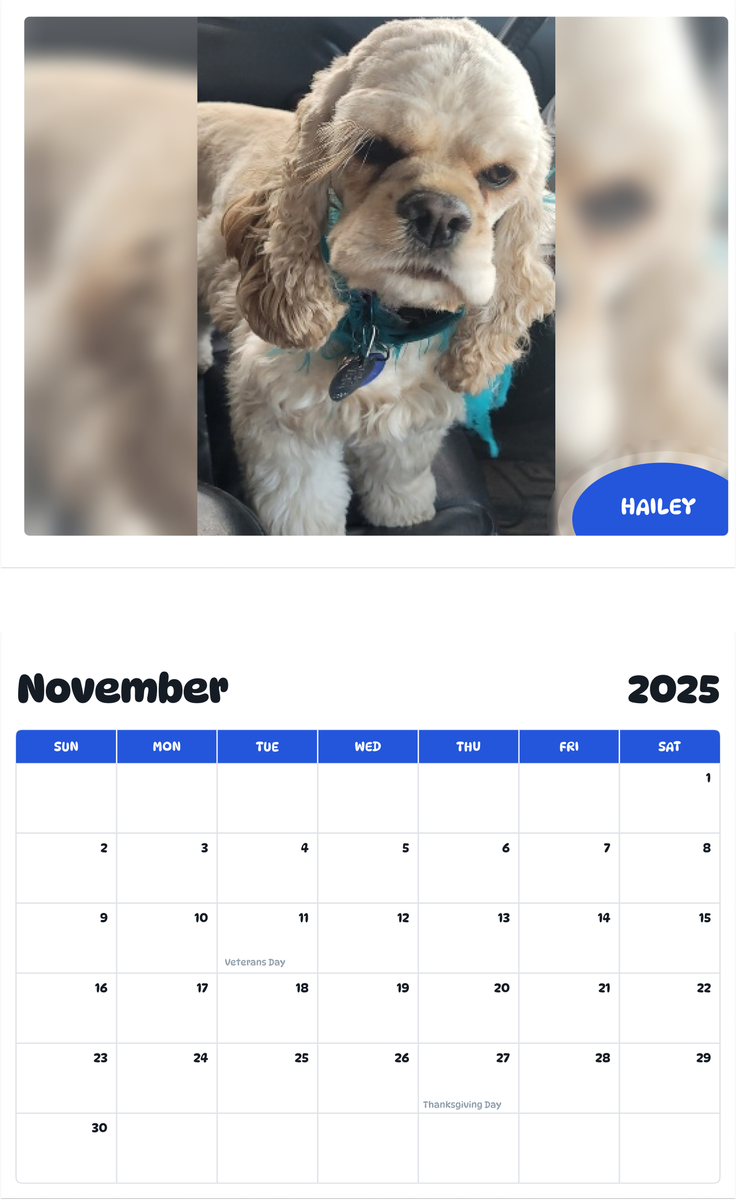 July 2025 - June 2026 Hailey - Pawidols Pet Calendar