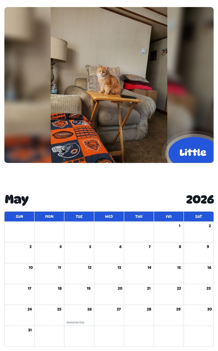 2026 - 2027 Little - Pawidols Pet Calendar
