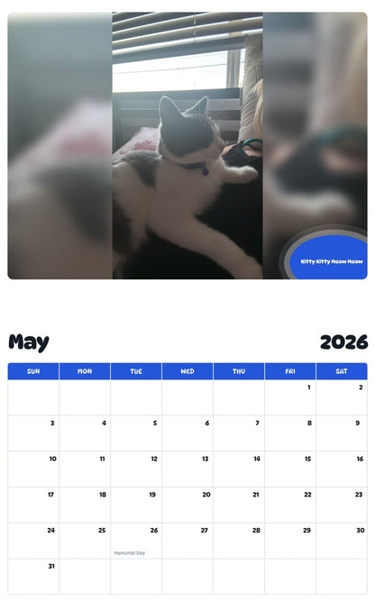 2026 - 2027 Kitty Kitty Meow Meow - Pawidols Pet Calendar