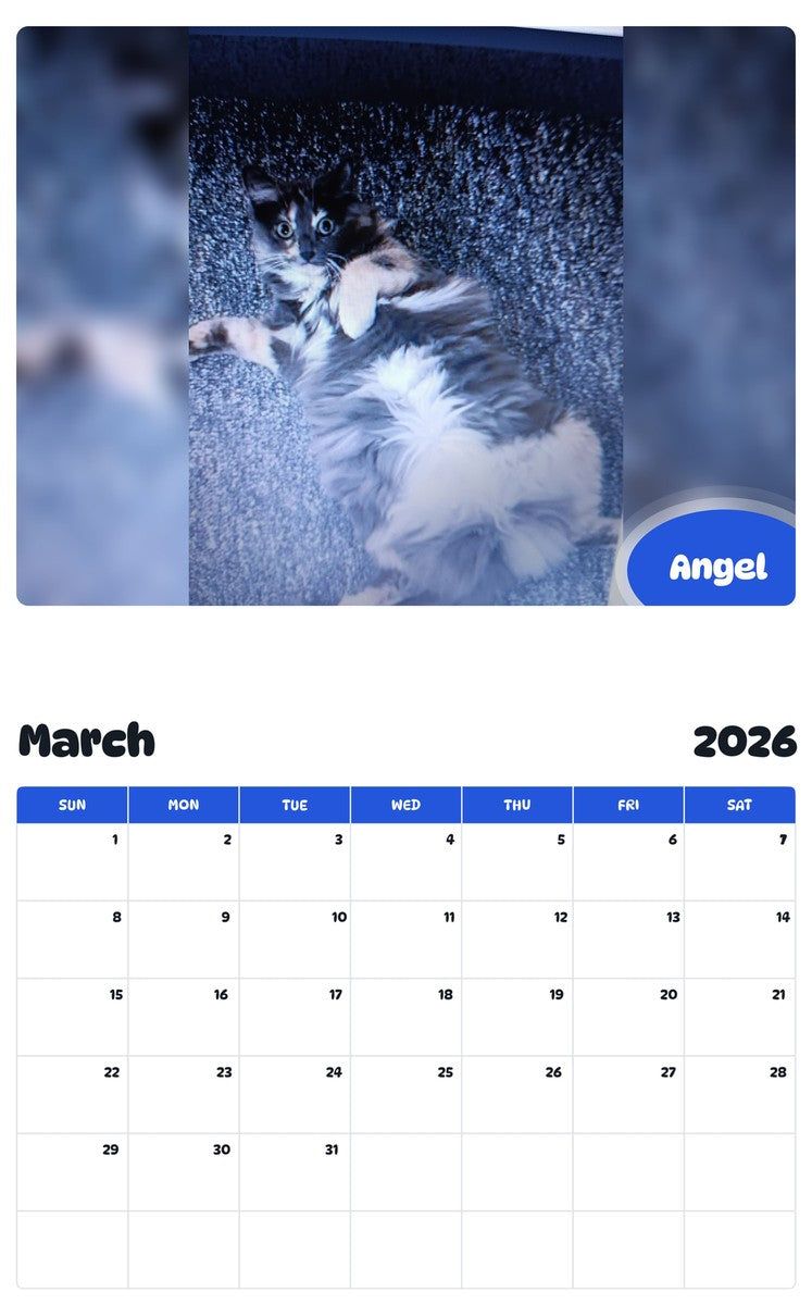 November 2025 - October 2026 Angel - Pawidols Pet Calendar