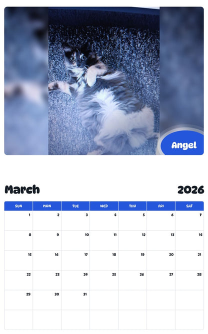 November 2025 - October 2026 Angel - Pawidols Pet Calendar