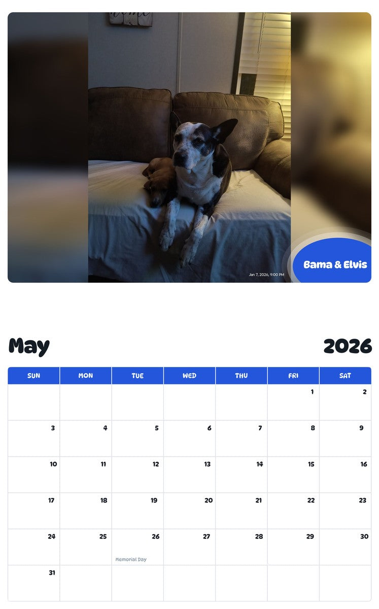 2026 - 2027 Bama & Elvis - Pawidols Pet Calendar
