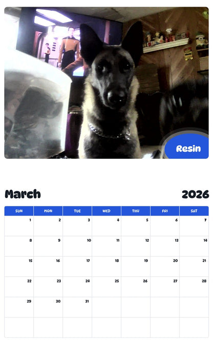 November 2025 - October 2026 Resin - Pawidols Pet Calendar