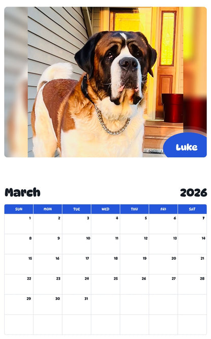 November 2025 - October 2026 Luke - Pawidols Pet Calendar