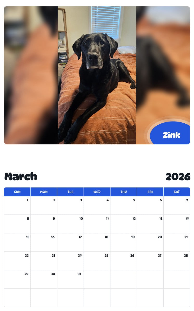 November 2025 - October 2026 Zink - Pawidols Pet Calendar