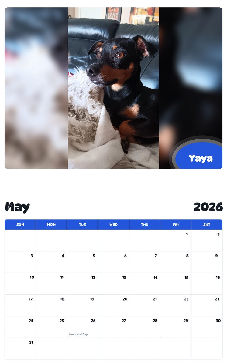 2026 - 2027 Yaya - Pawidols Pet Calendar