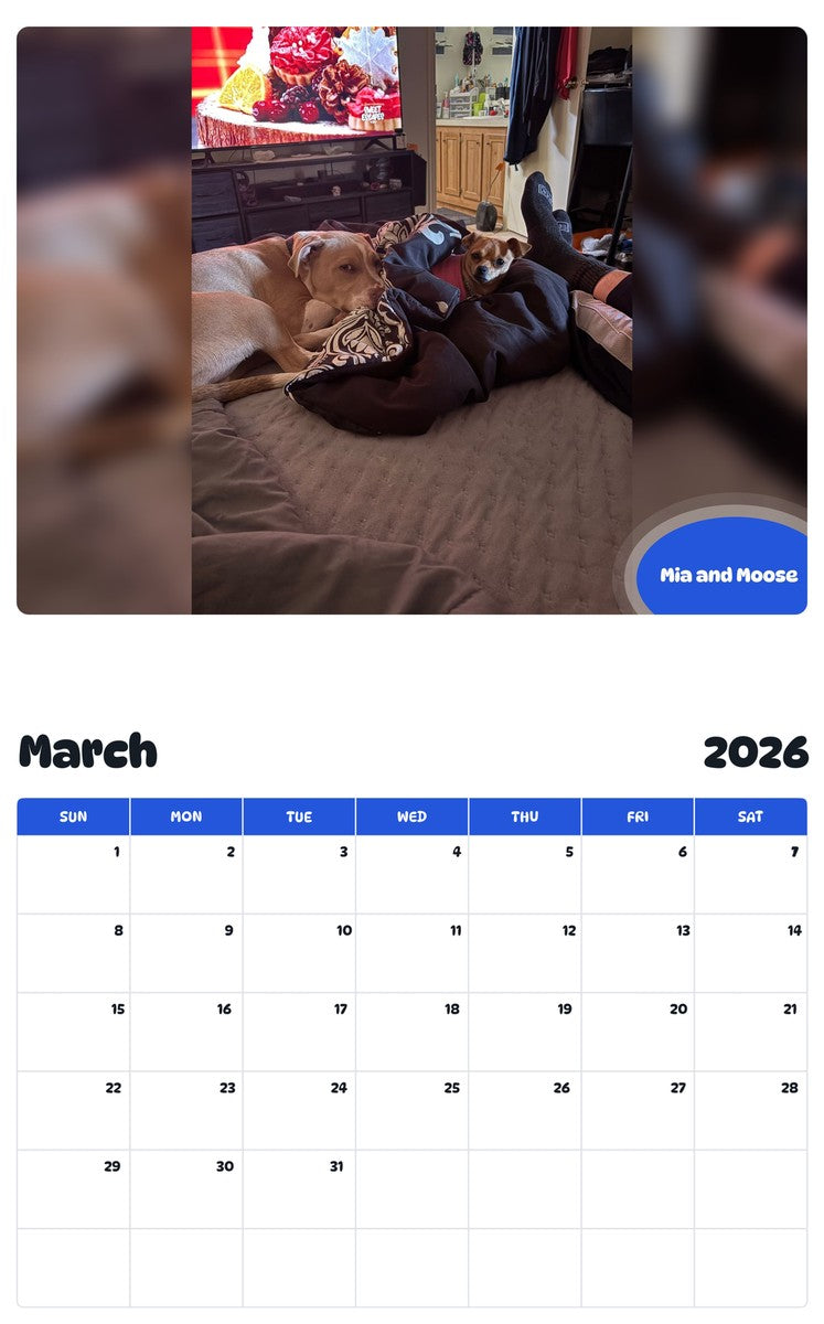 November 2025 - October 2026 Mia and Moose - Pawidols Pet Calendar