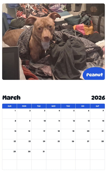 November 2025 - October 2026 Peanut - Pawidols Pet Calendar