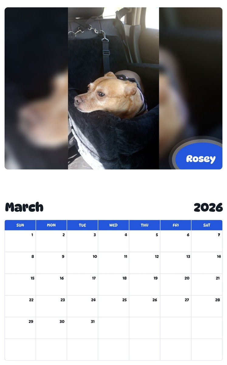 November 2025 - October 2026 Rosey - Pawidols Pet Calendar