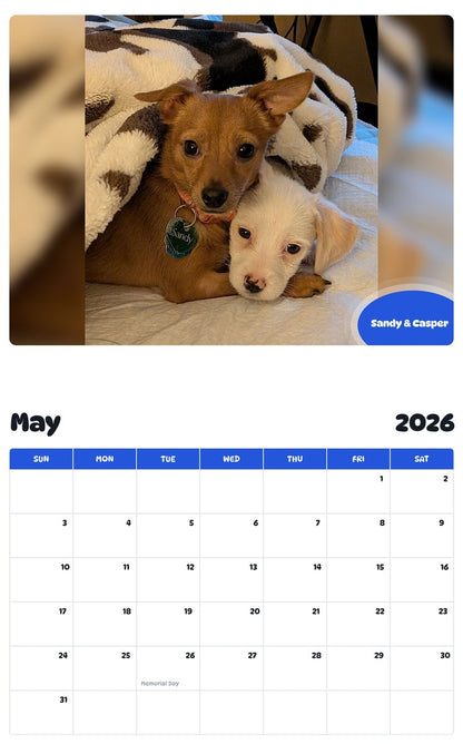 2026 - 2027 Sandy & Casper - Pawidols Pet Calendar