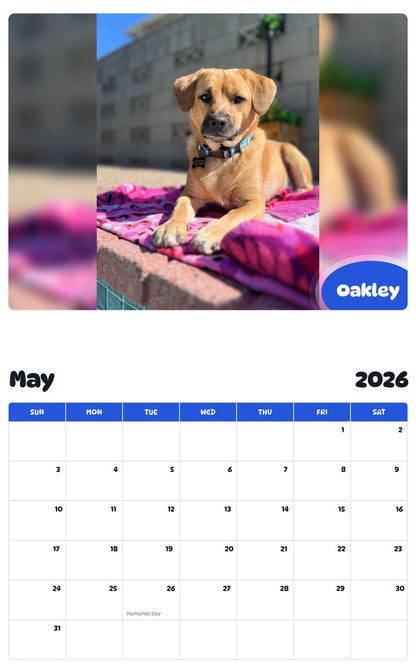 2026 - 2027 Oakley - Pawidols Pet Calendar