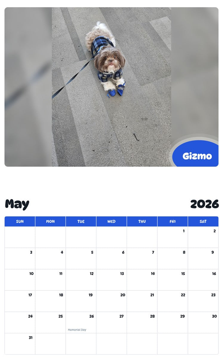 2026 - 2027 Gizmo - Pawidols Pet Calendar