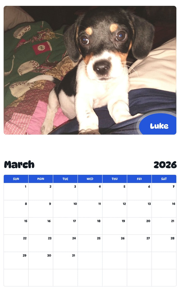 November 2025 - October 2026 Luke - Pawidols Pet Calendar