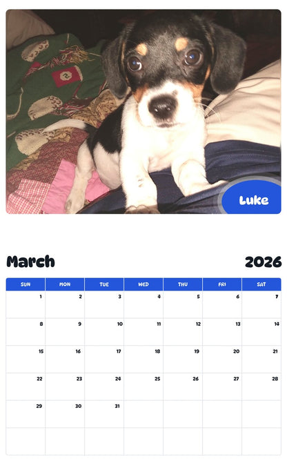 November 2025 - October 2026 Luke - Pawidols Pet Calendar