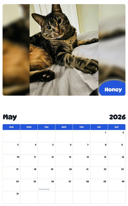 2026 - 2027 Honey - Pawidols Pet Calendar