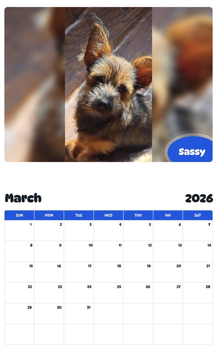 November 2025 - October 2026 Sassy - Pawidols Pet Calendar