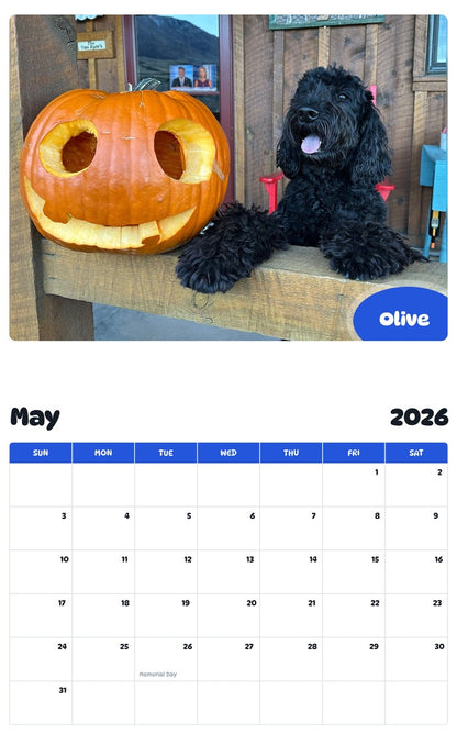 2026 - 2027 Olive - Pawidols Pet Calendar