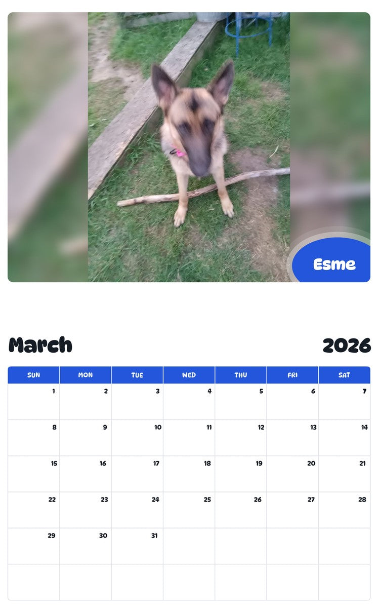 November 2025 - October 2026 Esme - Pawidols Pet Calendar