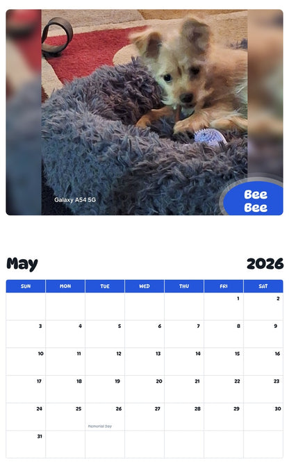2026 - 2027 Bee Bee - Pawidols Pet Calendar