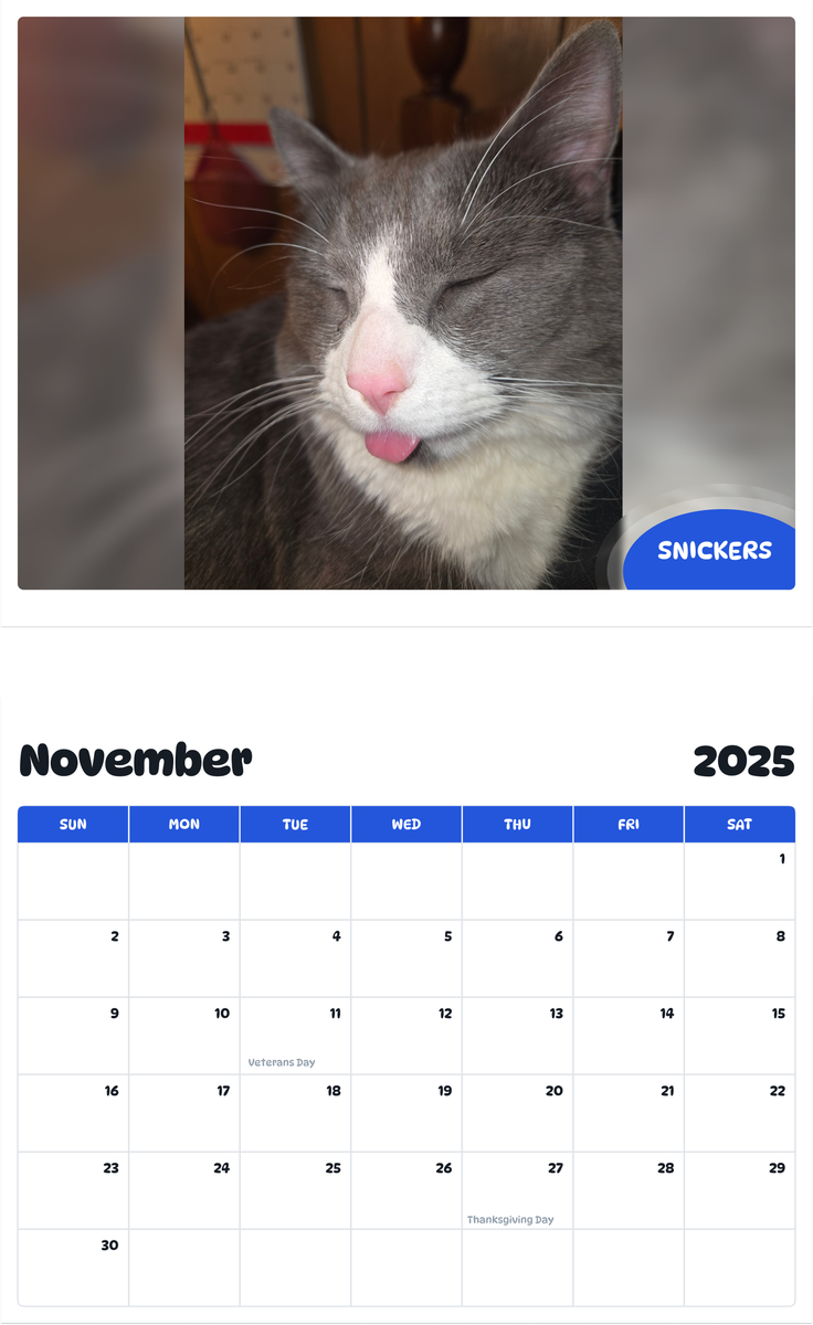 July 2025 - June 2026 Snickers - Pawidols Pet Calendar