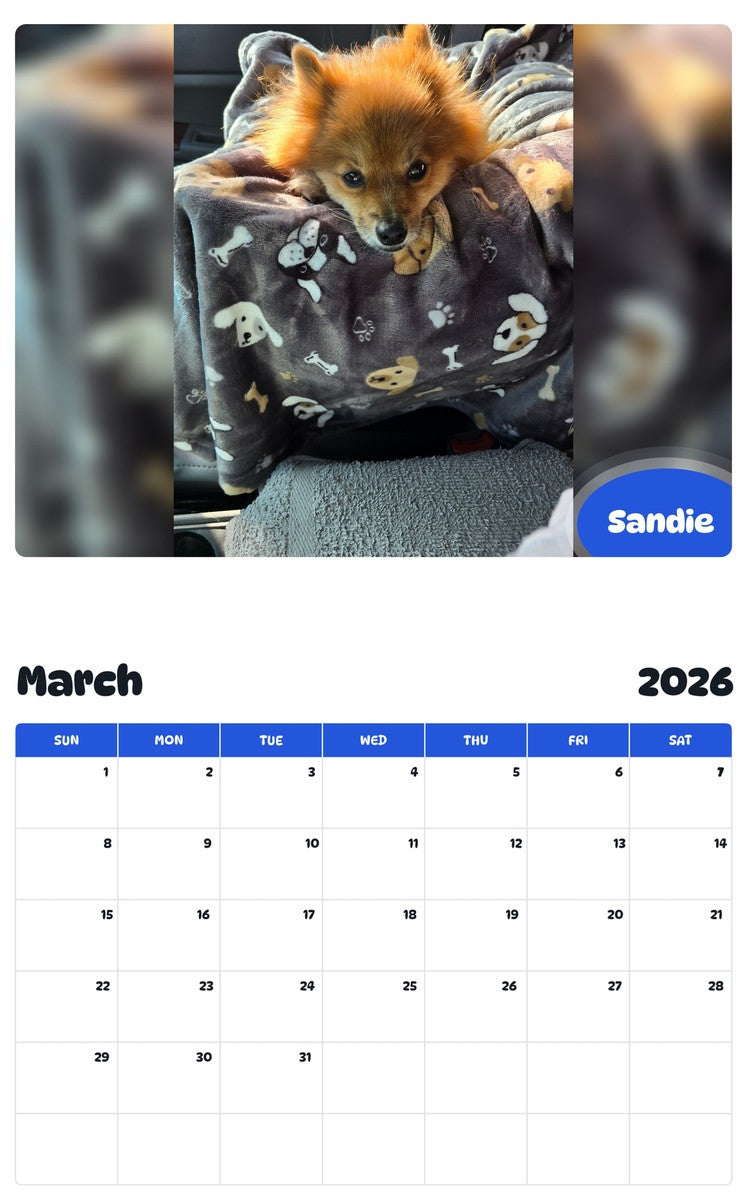 November 2025 - October 2026 Sandie - Pawidols Pet Calendar