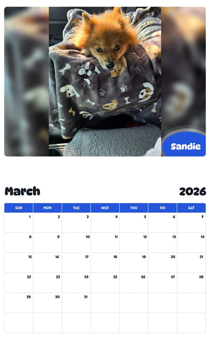 November 2025 - October 2026 Sandie - Pawidols Pet Calendar