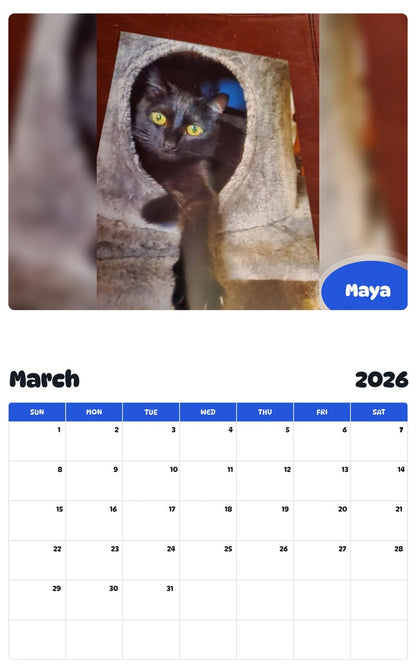 November 2025 - October 2026 Maya - Pawidols Pet Calendar