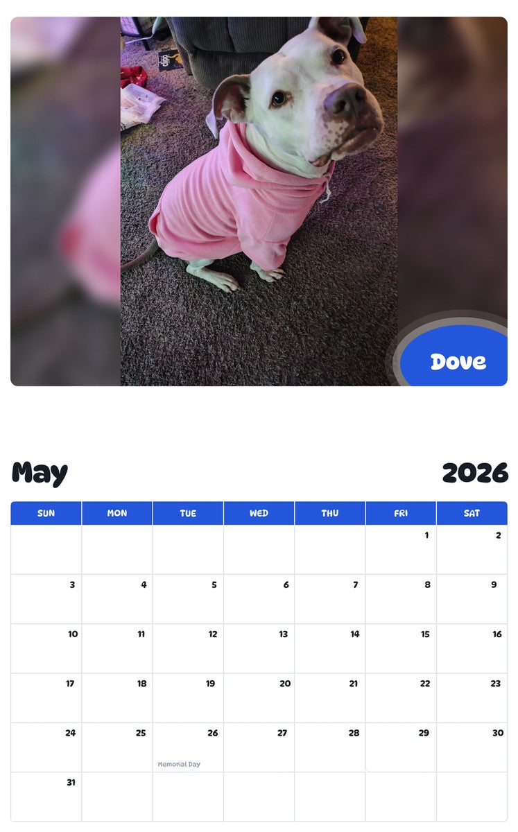 2026 - 2027 Dove - Pawidols Pet Calendar