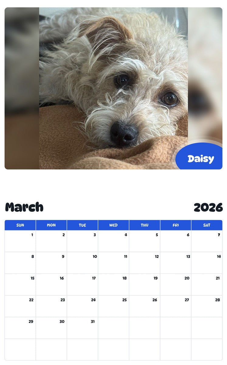 November 2025 - October 2026 Daisy - Pawidols Pet Calendar