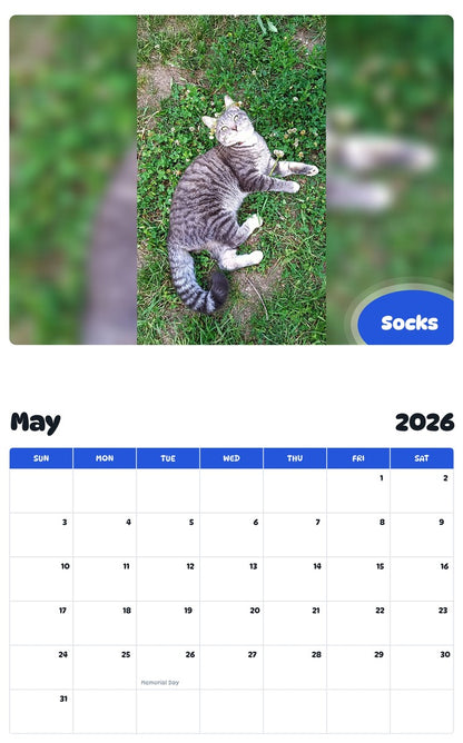 2026 - 2027 Socks - Pawidols Pet Calendar