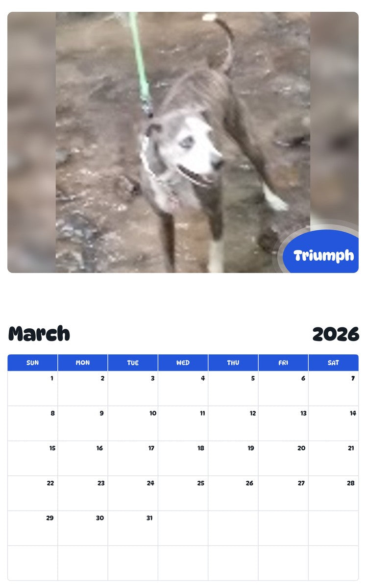November 2025 - October 2026 Triumph - Pawidols Pet Calendar
