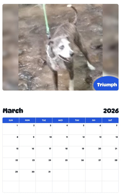 November 2025 - October 2026 Triumph - Pawidols Pet Calendar