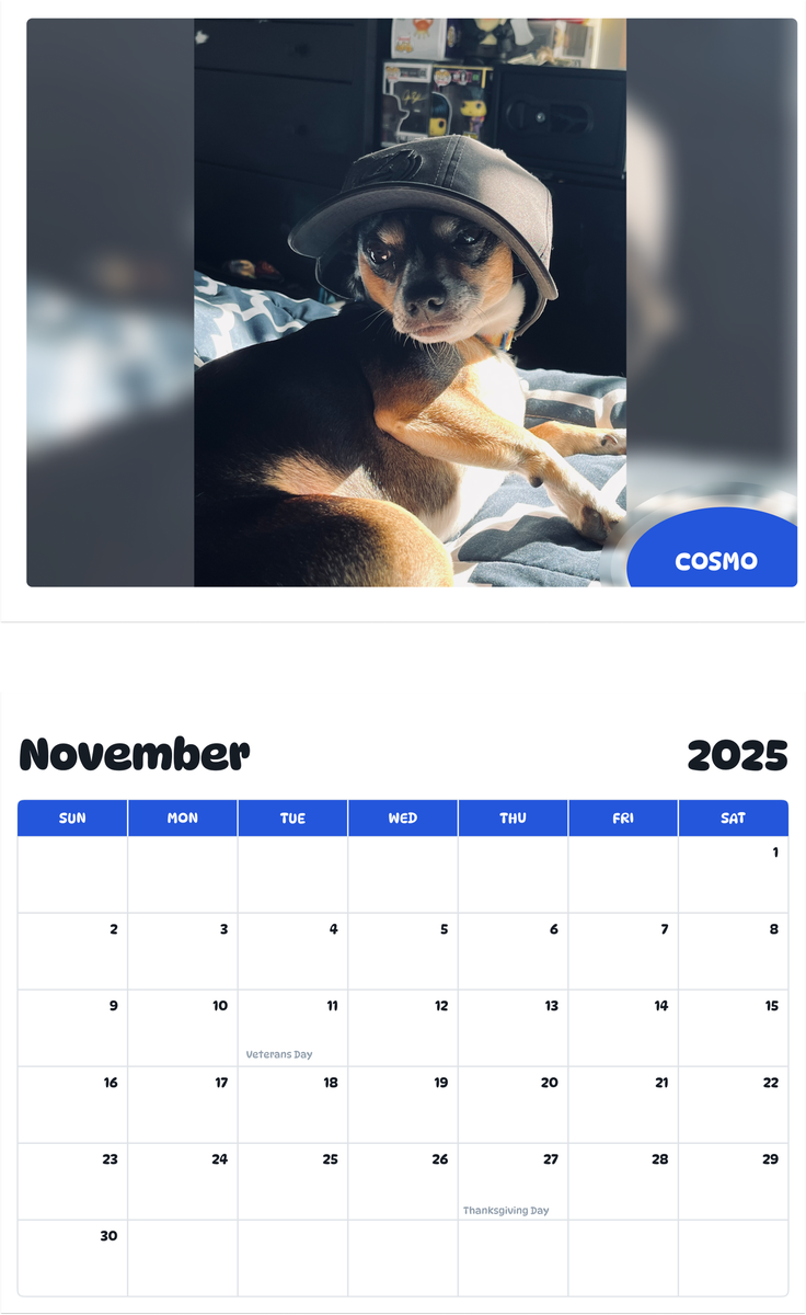 July 2025 - June 2026 Cosmo - Pawidols Pet Calendar