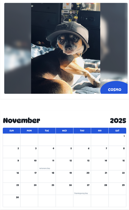 July 2025 - June 2026 Cosmo - Pawidols Pet Calendar