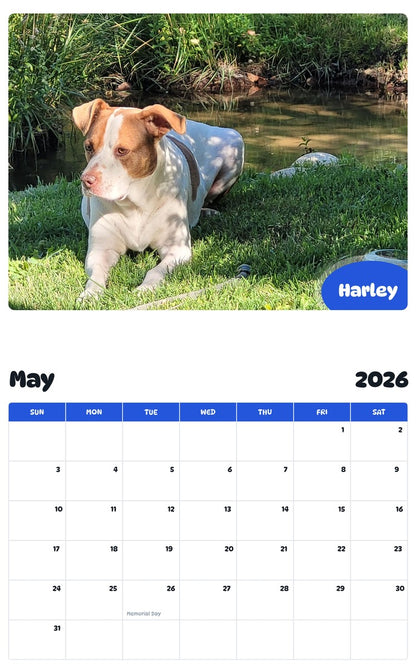2026 - 2027 Harley - Pawidols Pet Calendar