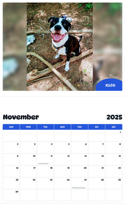 July 2025 - June 2026 Kujo - Pawidols Pet Calendar