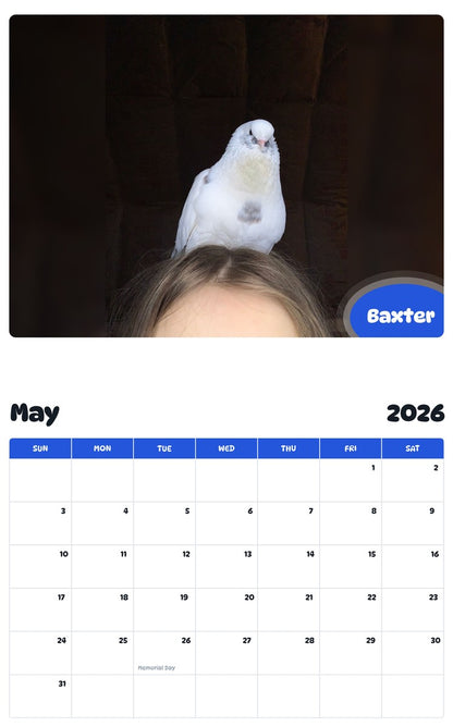 2026 - 2027 Baxter - Pawidols Pet Calendar