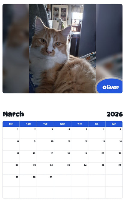 November 2025 - October 2026 Oliver - Pawidols Pet Calendar