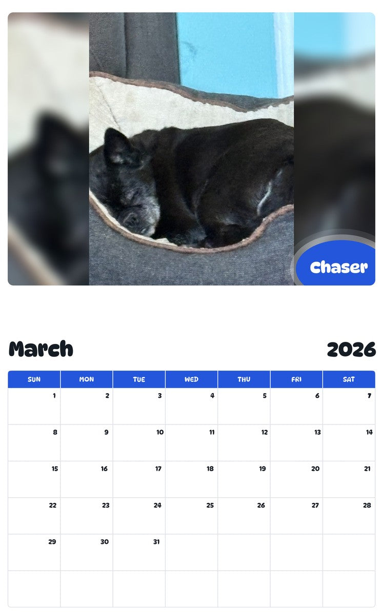 November 2025 - October 2026 Chaser - Pawidols Pet Calendar
