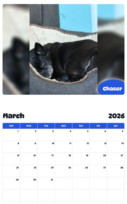 November 2025 - October 2026 Chaser - Pawidols Pet Calendar
