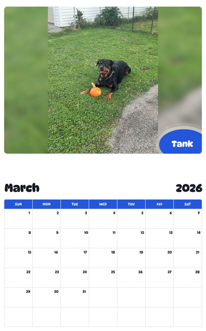 November 2025 - October 2026 Tank - Pawidols Pet Calendar