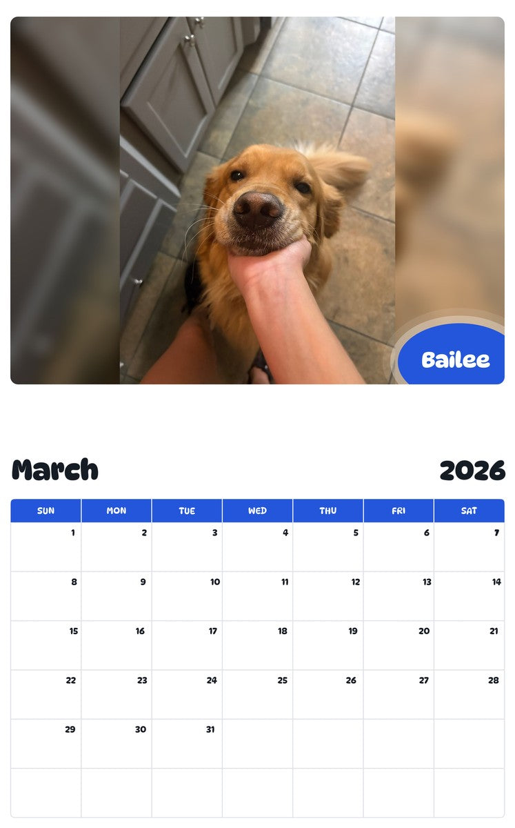 November 2025 - October 2026 Bailee - Pawidols Pet Calendar