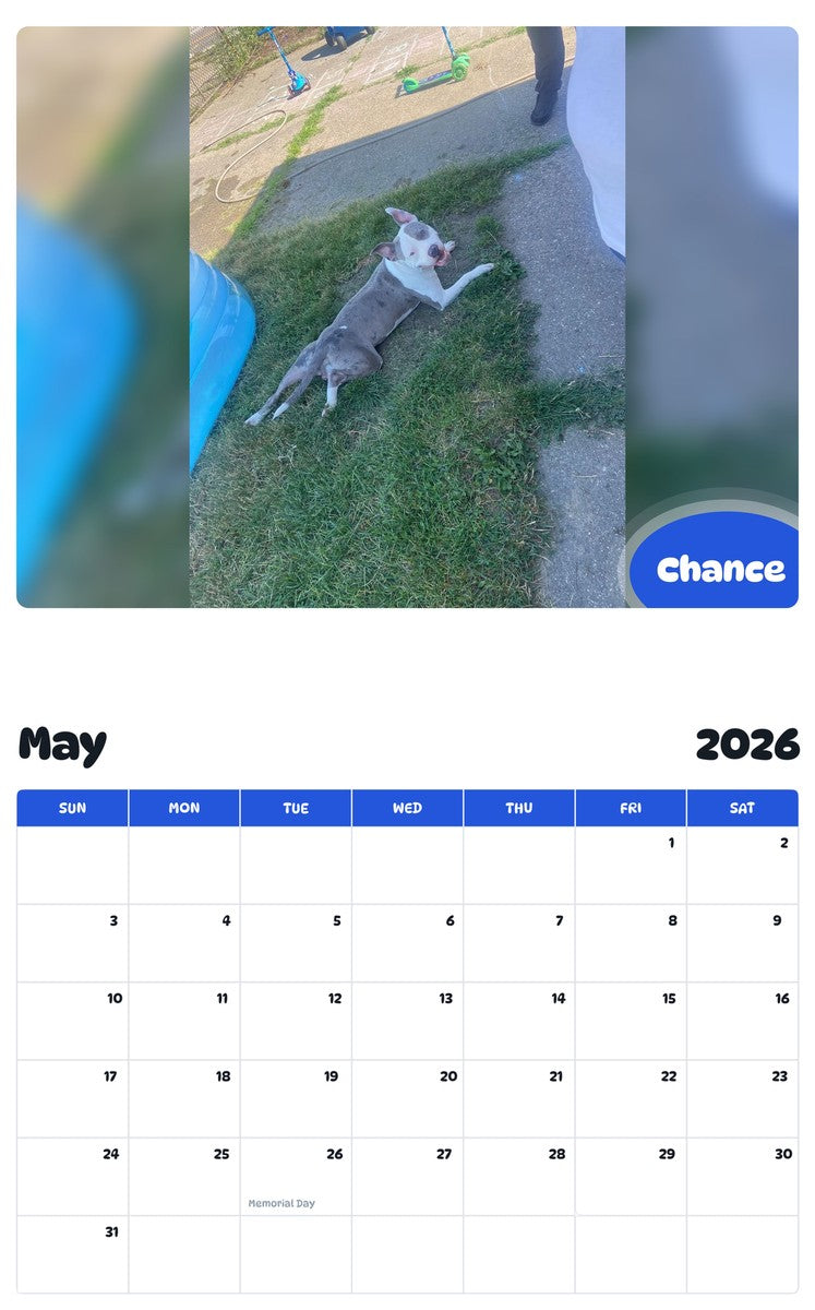 2026 - 2027 Chance - Pawidols Pet Calendar
