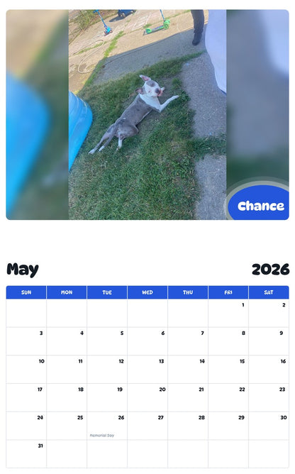 2026 - 2027 Chance - Pawidols Pet Calendar