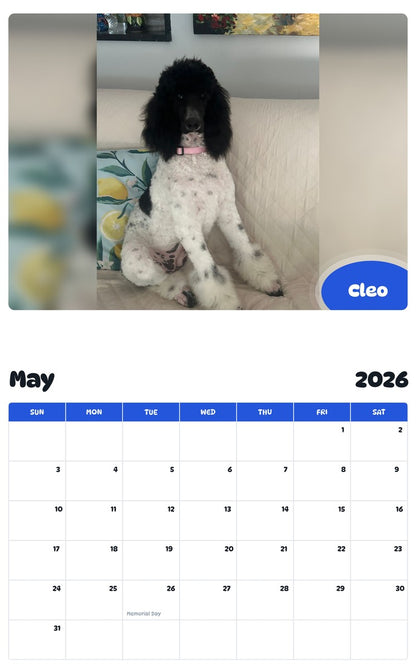 2026 - 2027 Cleo - Pawidols Pet Calendar