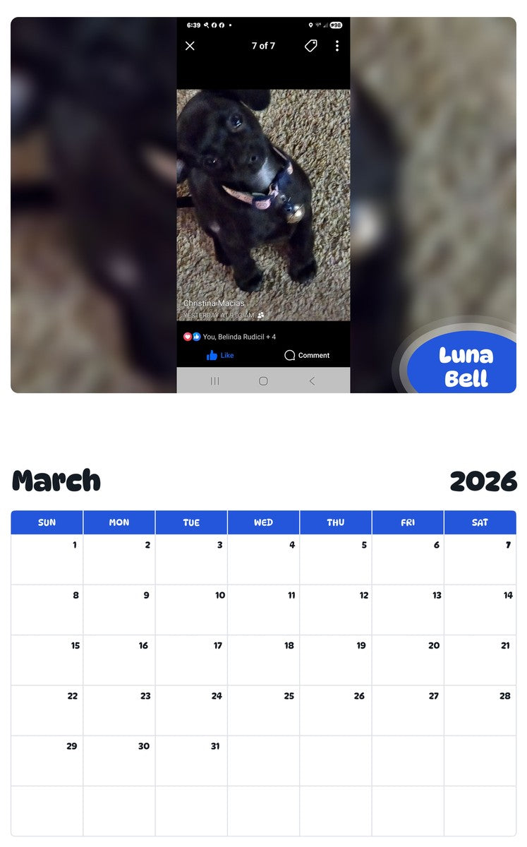 November 2025 - October 2026 Luna Bell - Pawidols Pet Calendar