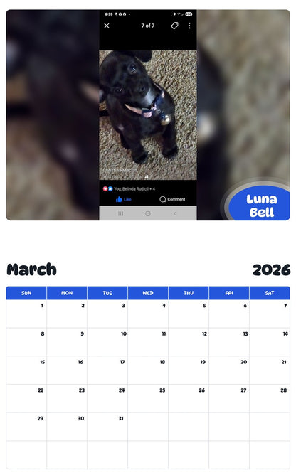 November 2025 - October 2026 Luna Bell - Pawidols Pet Calendar