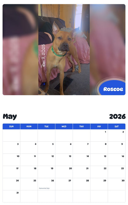2026 - 2027 Roscoe - Pawidols Pet Calendar