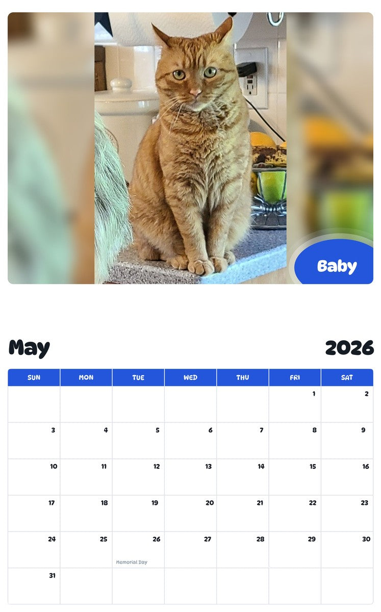 2026 - 2027 Baby - Pawidols Pet Calendar