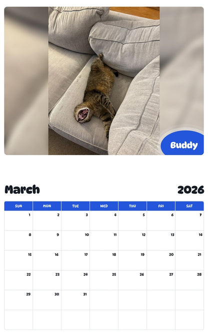 November 2025 - October 2026 Buddy - Pawidols Pet Calendar